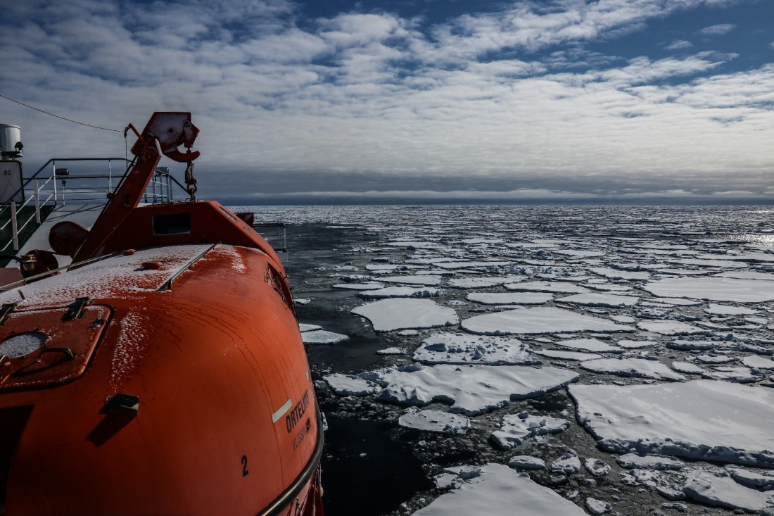 Ortelius in the pack-ice