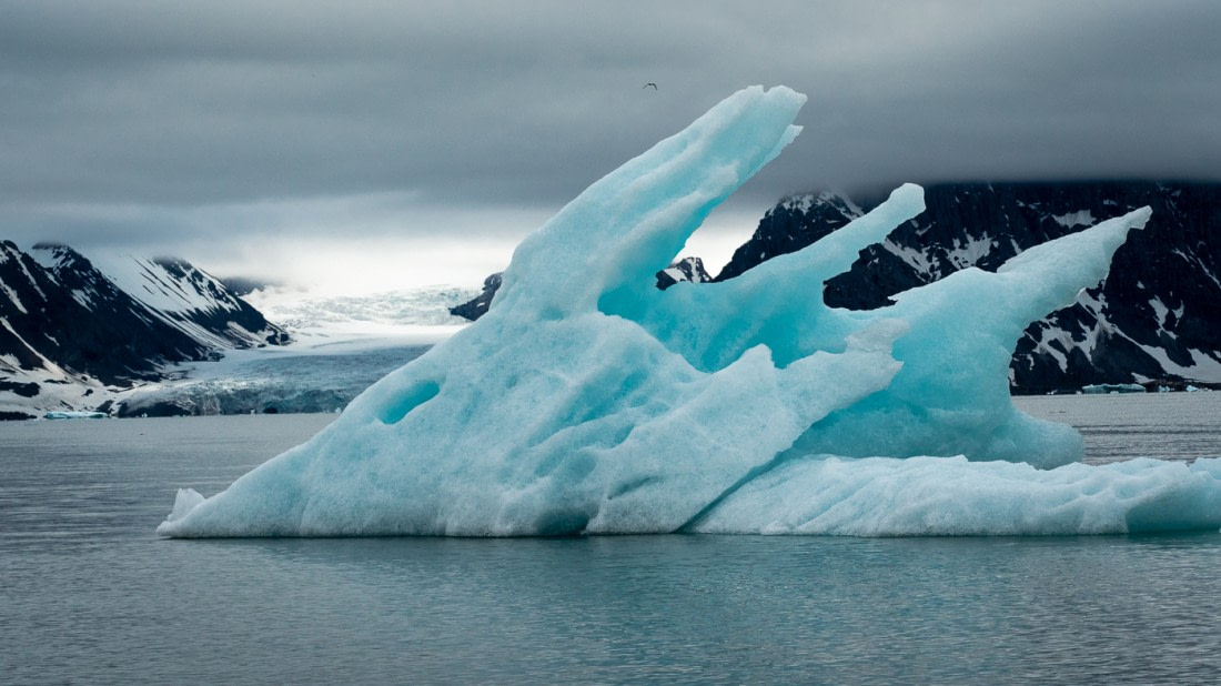 Burgerbukta, Hornsund.