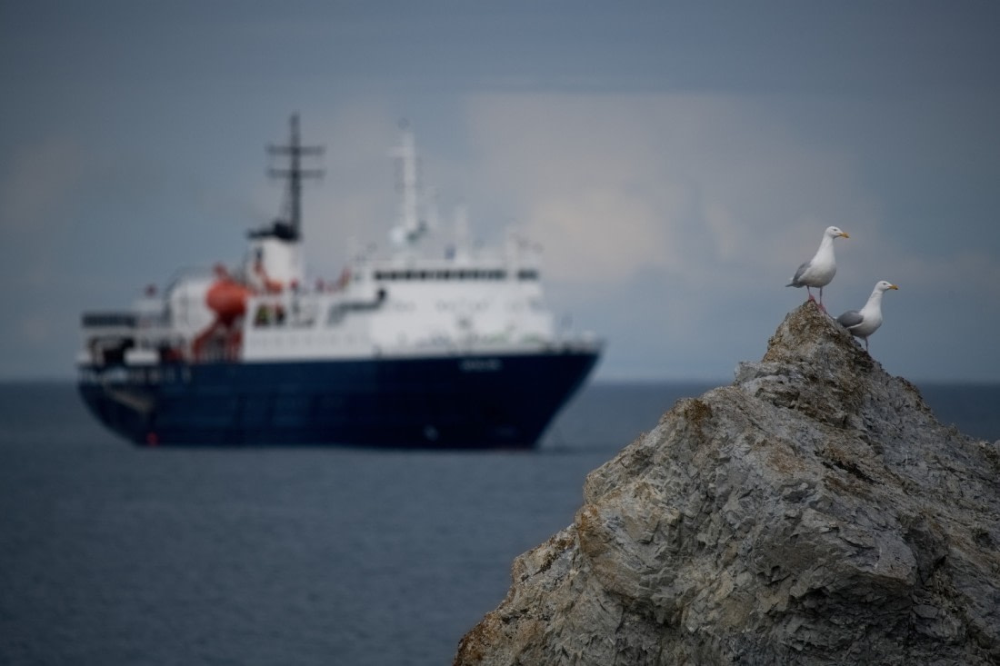 Darling, we should go on a cruise ;-)