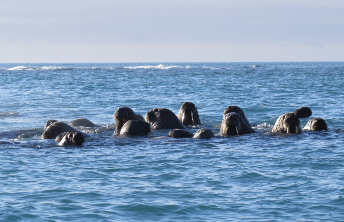 It's swimming time !
