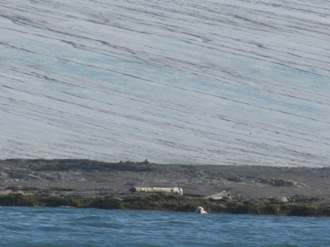 taking a bath in an icy environment