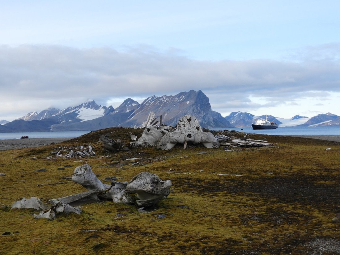 Whale bones on Gåshamna