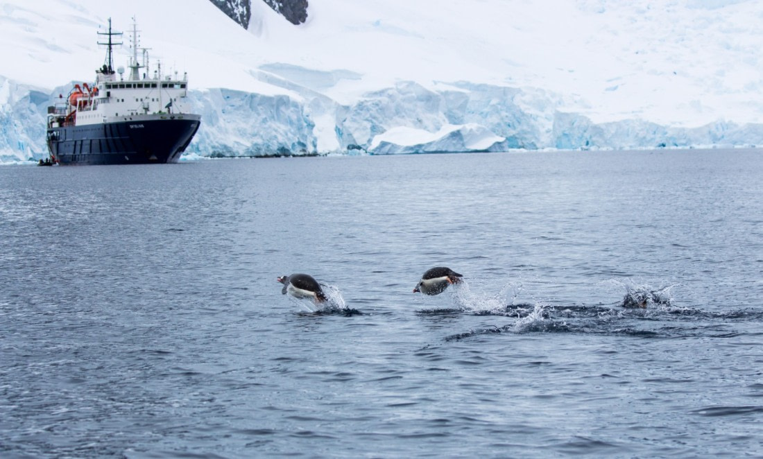 Good Morning Ortelius