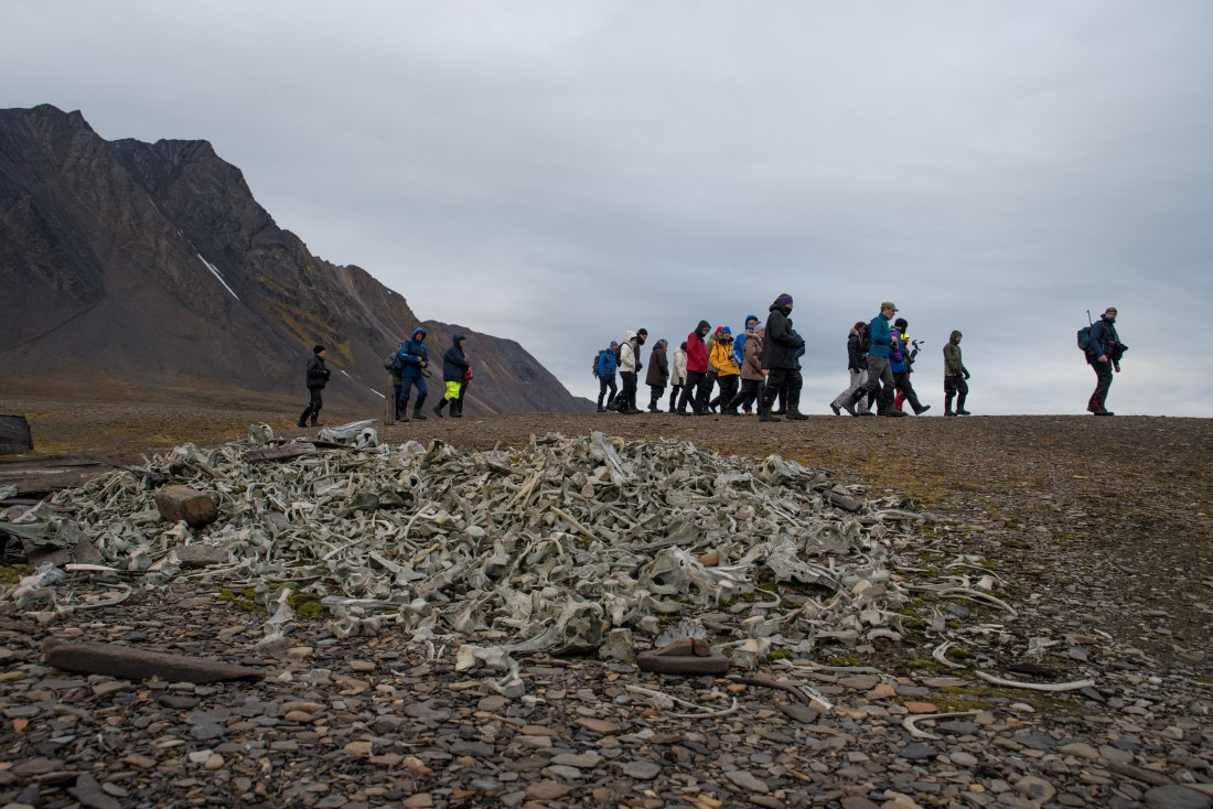 Around Spitsbergen, Kvitoya, August © Zoutfotografie-Oceanwide Expeditions (329).JPG