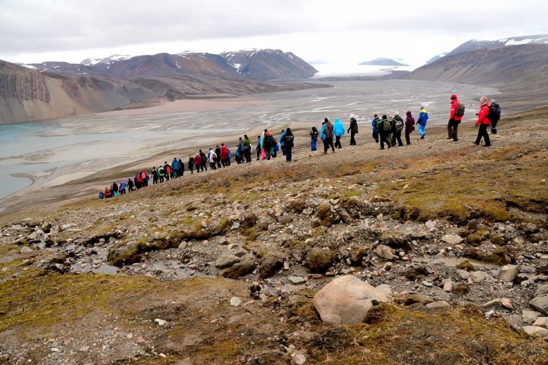 despite many, lost in beauty