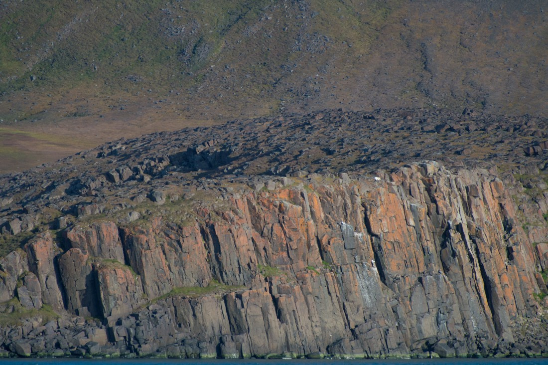 Around Spitsbergen, Kvitoya, August © Zoutfotografie-Oceanwide Expeditions (293).JPG