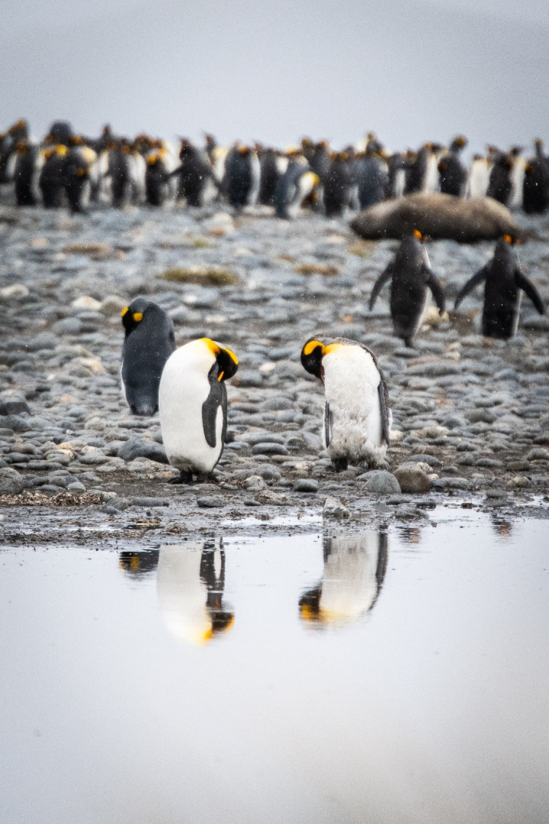 Mirror, mirror, on the wall...