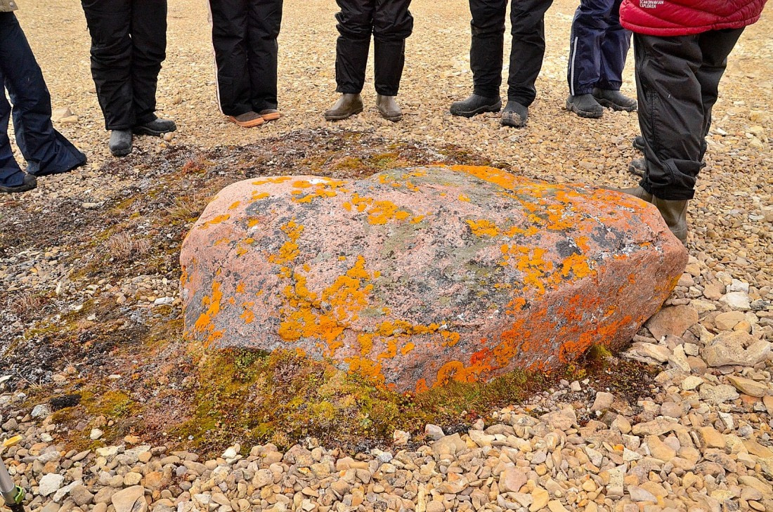 around the altar of nature