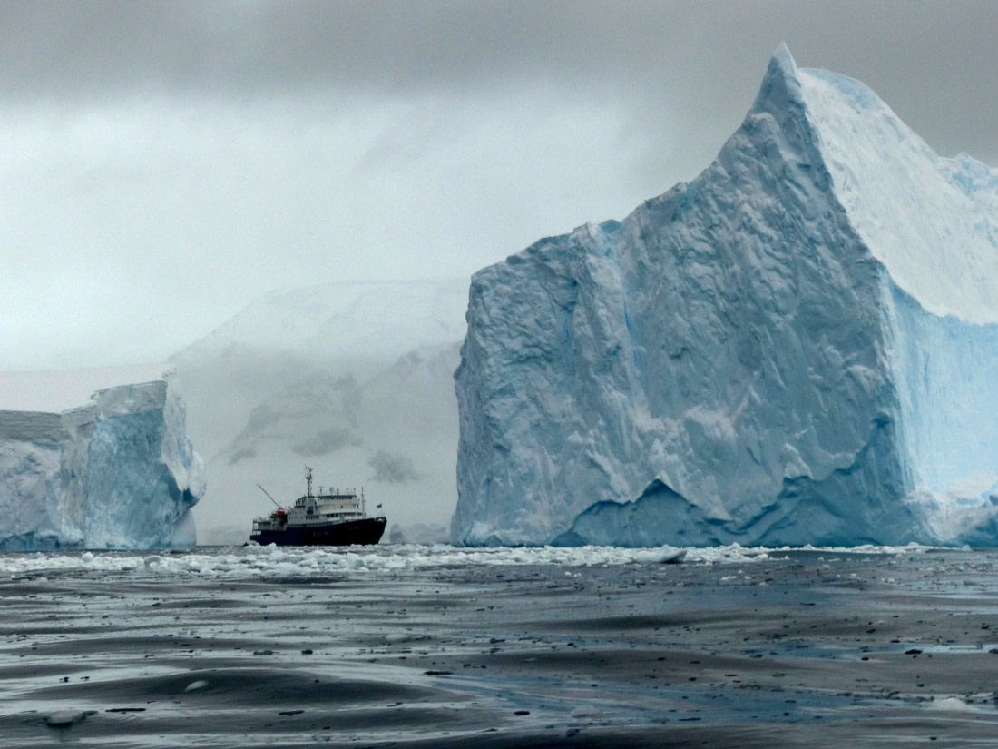 Plancius facing giant icebergs