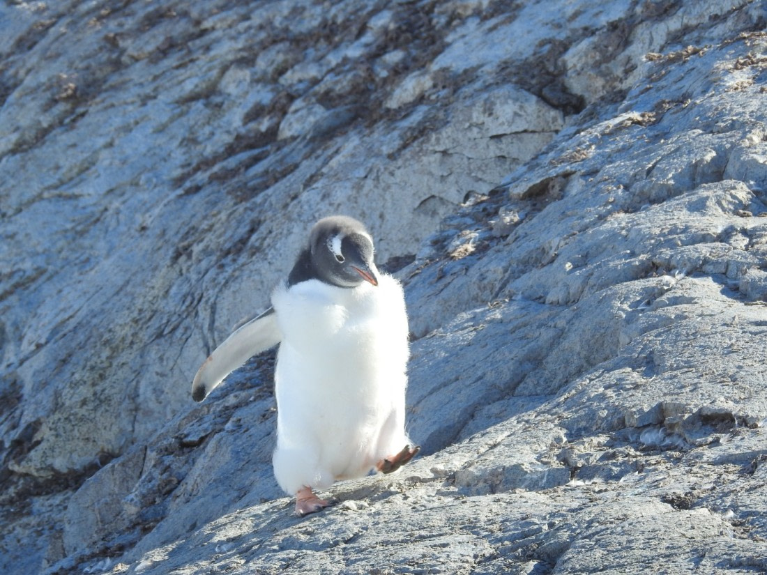 Marching up the hill