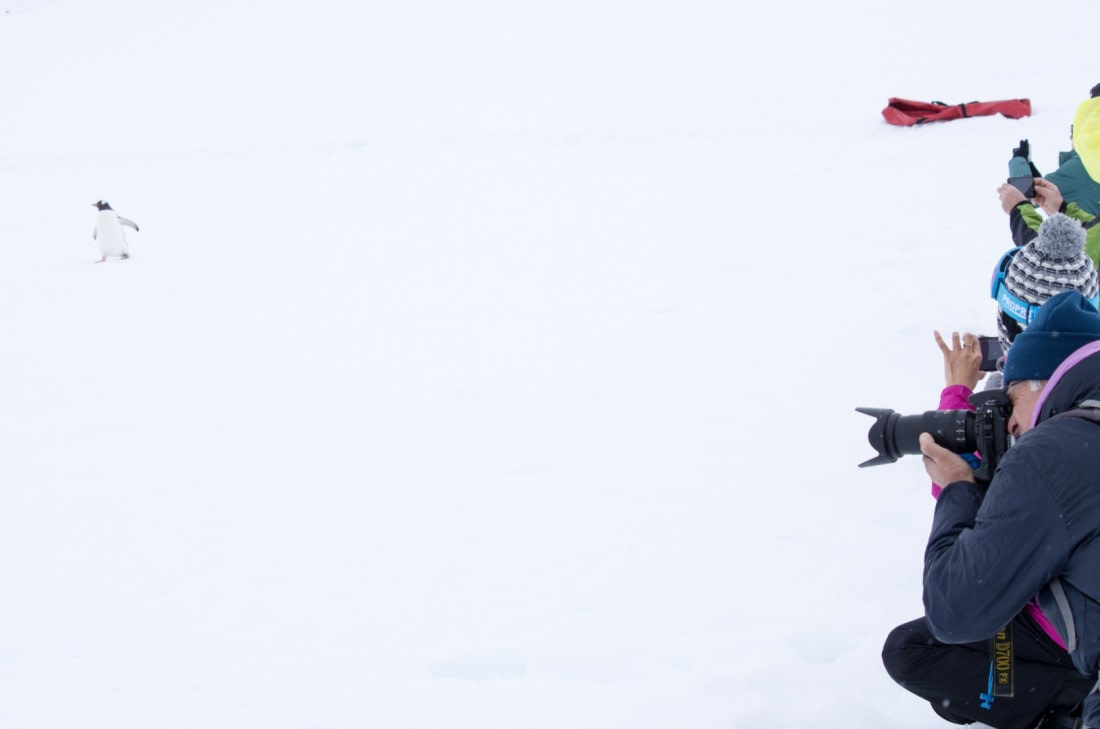 gotcha