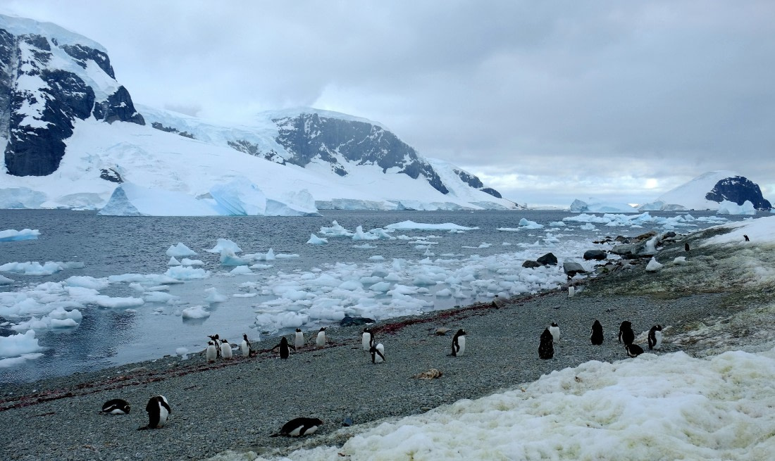 First stop in Graham