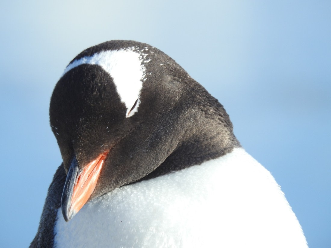 Enjoying the sunshine