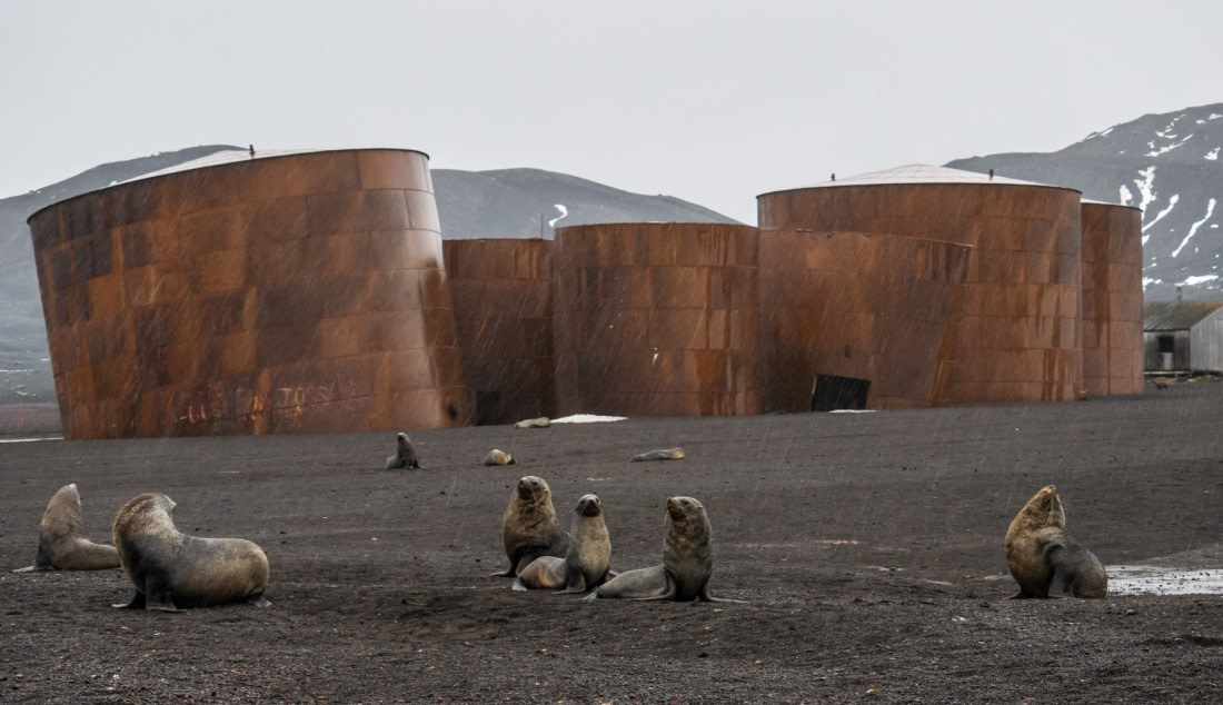 A Rainy Day on Deception Island
