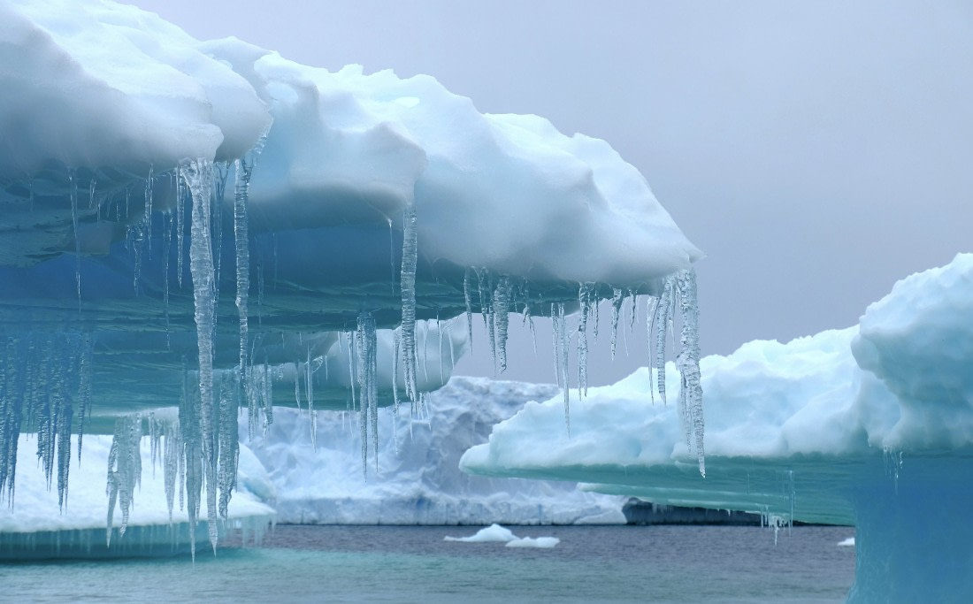 Iceberg near Charcot Bay