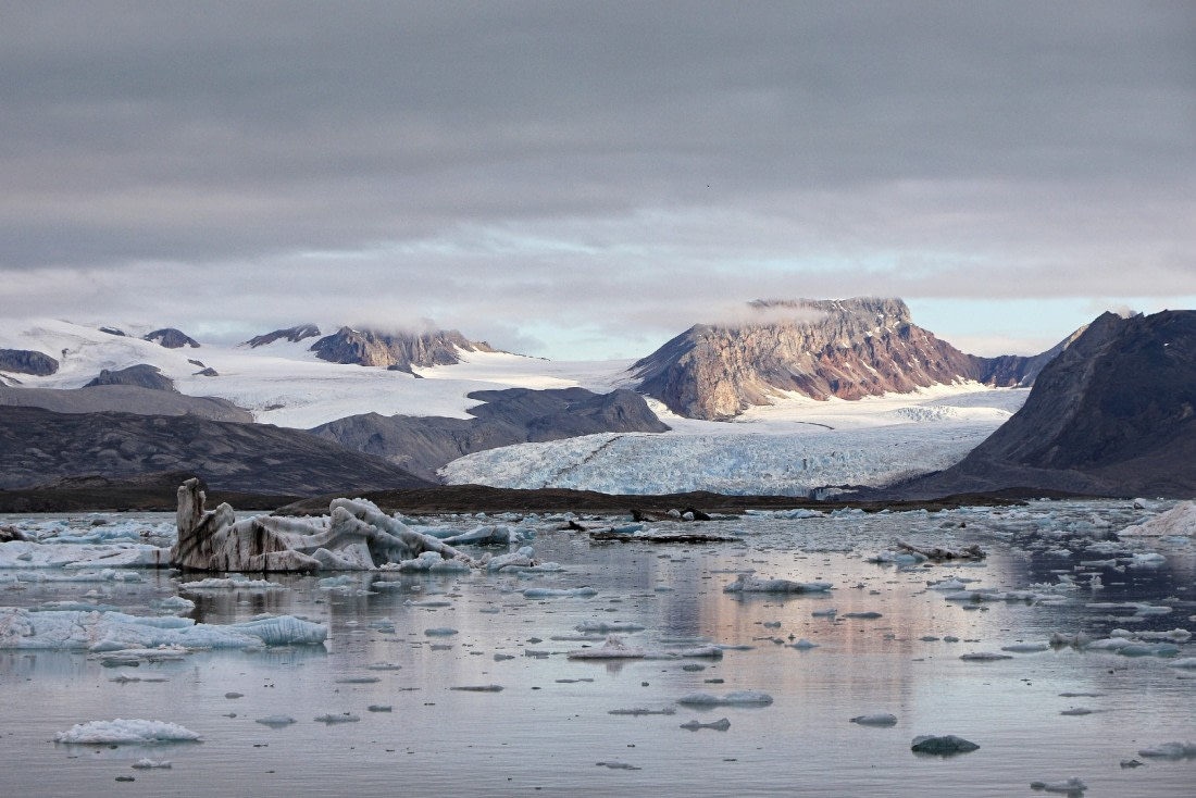 Kongsfjord