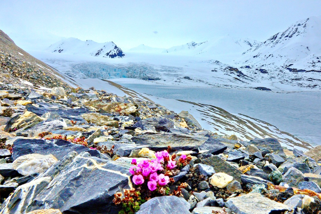 Polar Spring