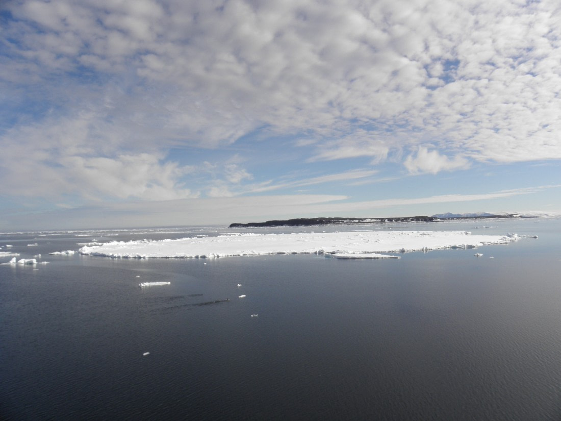 Ice shelf