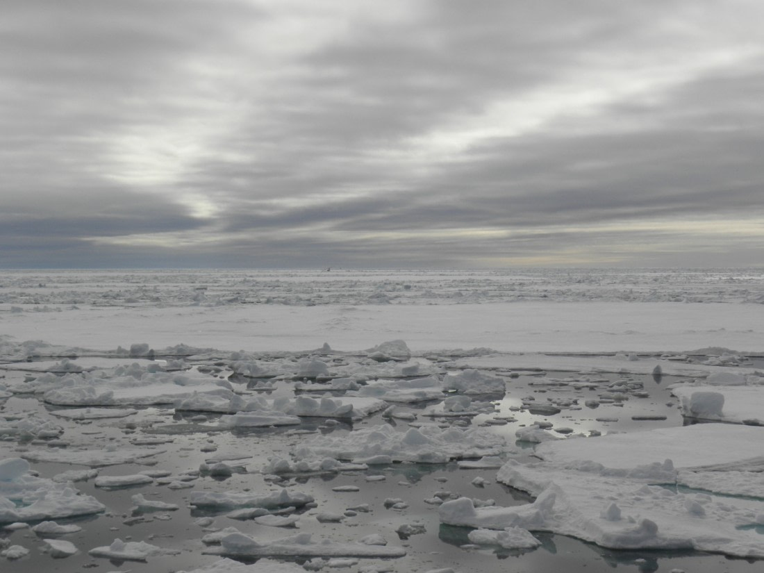 Pack ice
