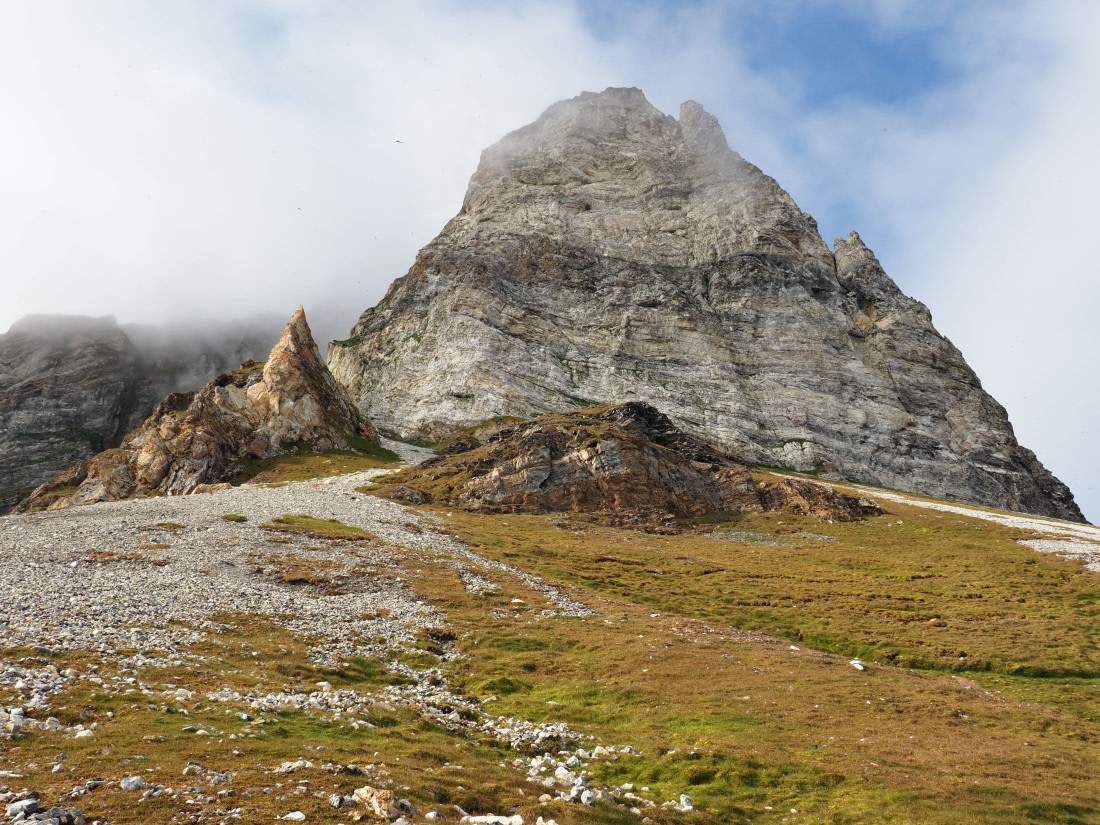 Alkhornet © Mariela Cornejo - Oceanwide Expeditions.jpg