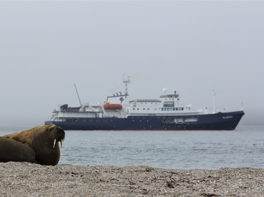 Svalbard