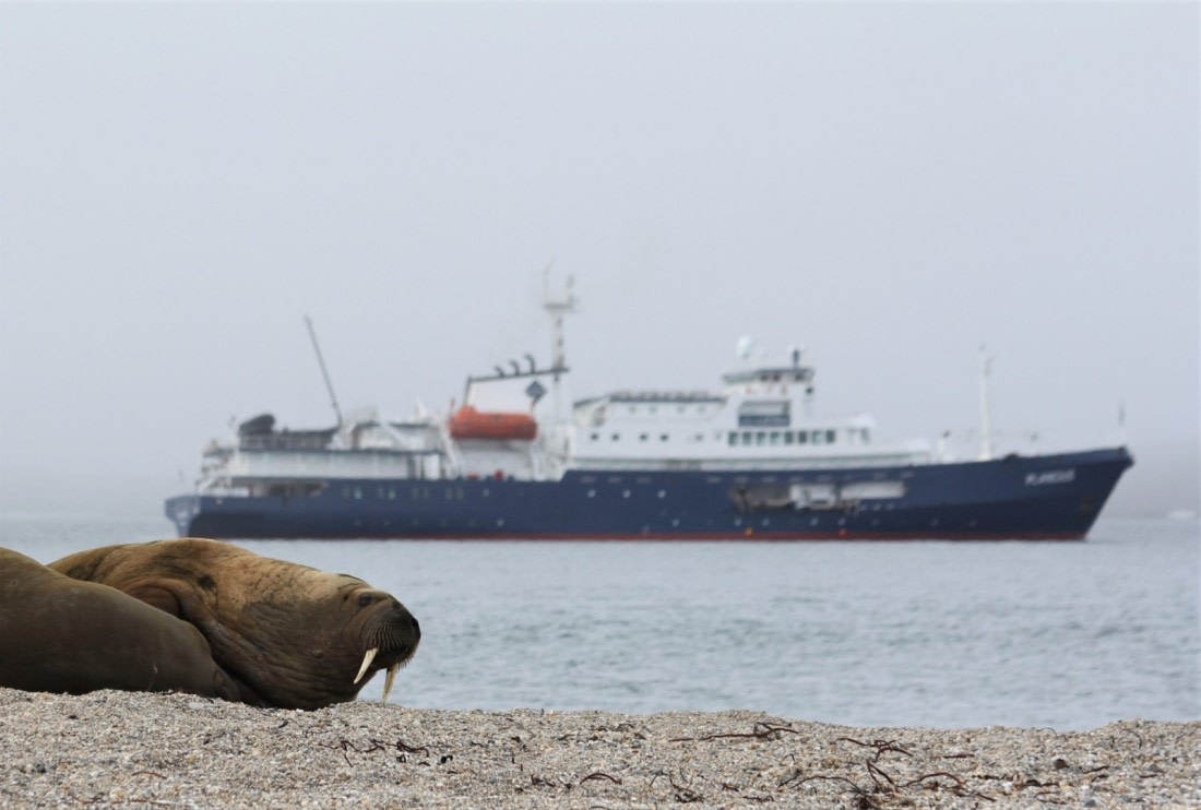 Svalbard