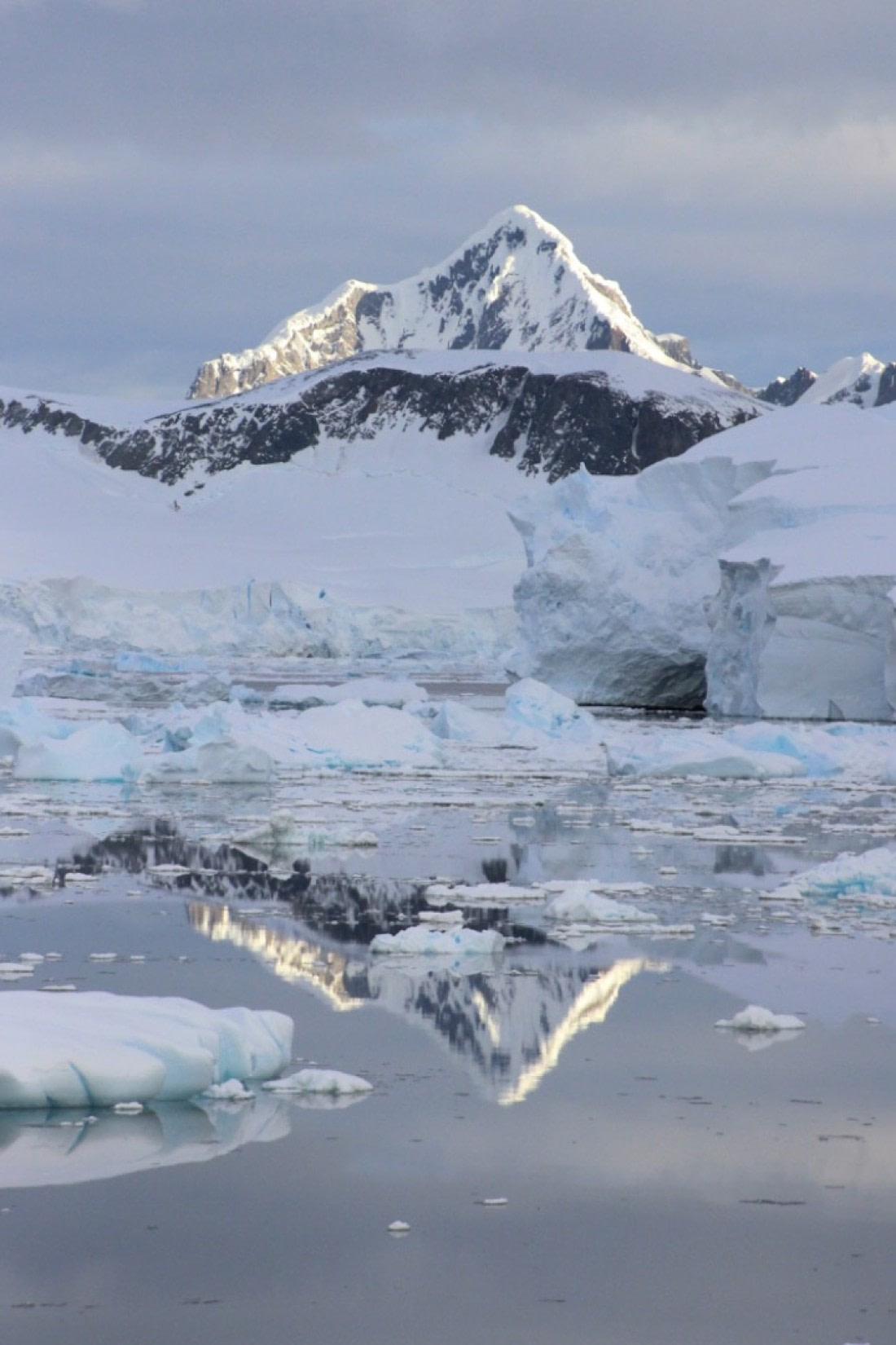 Antarctic Reflections