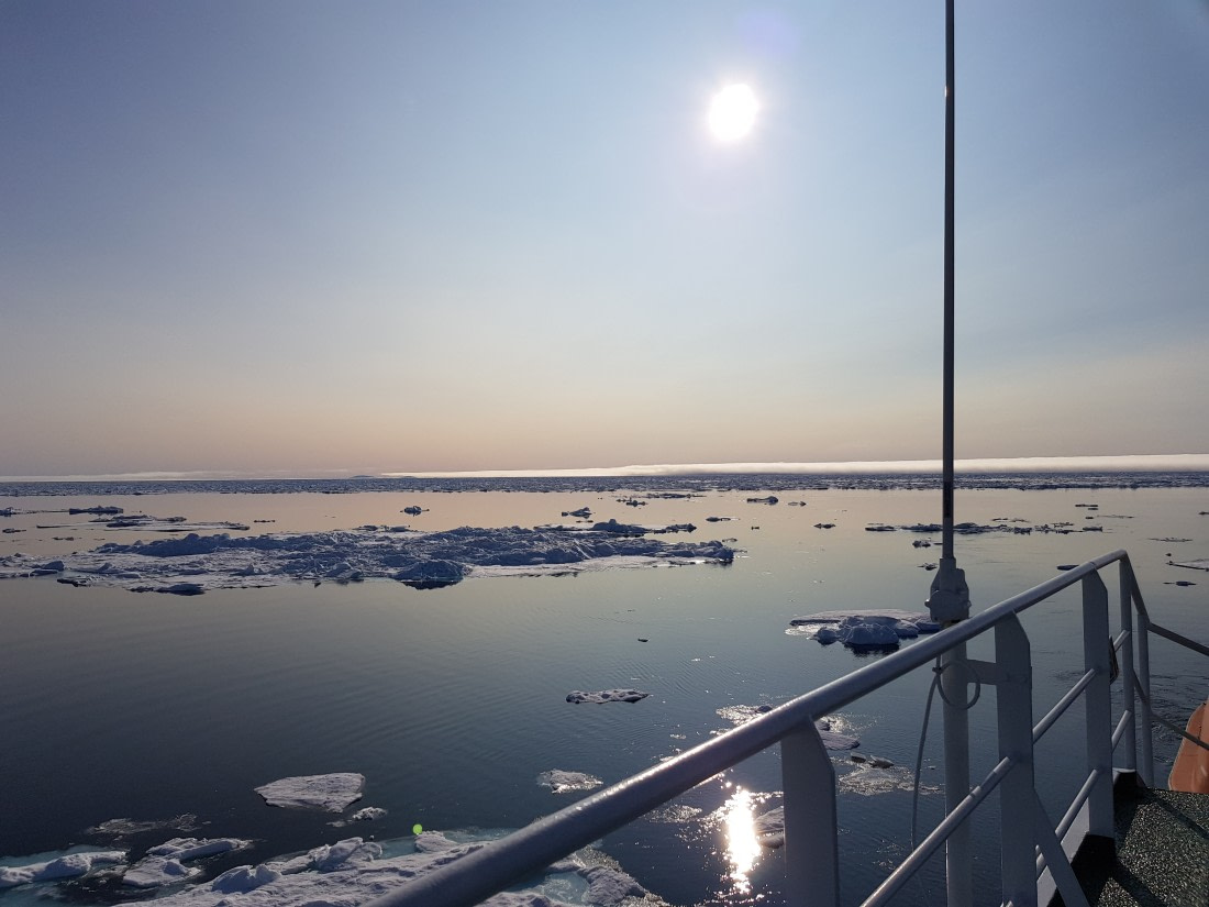 Wonderfull day at the Plancius