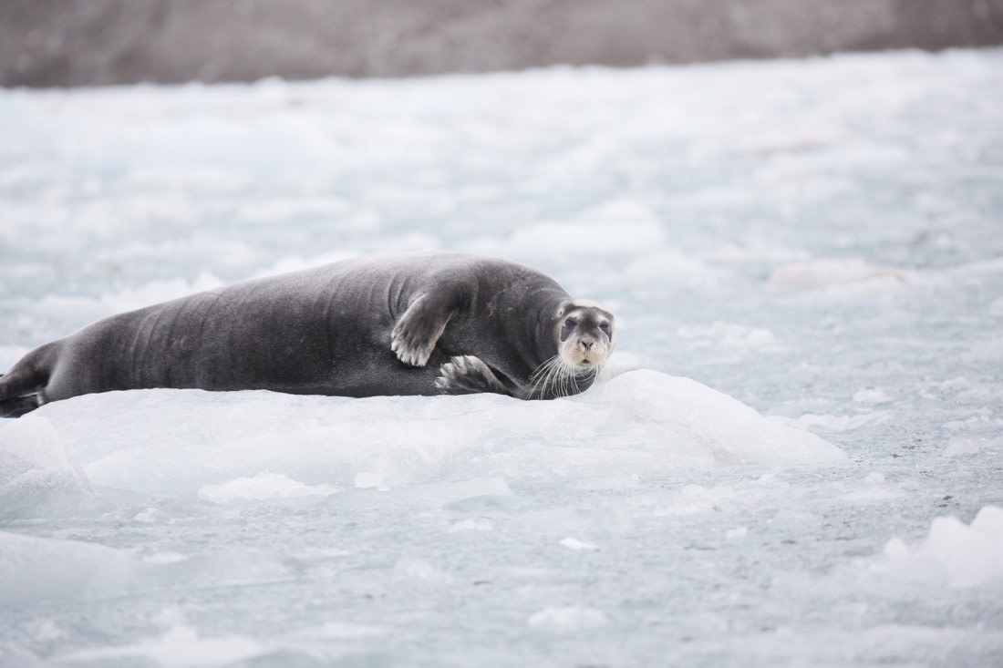 Welcome to my place!