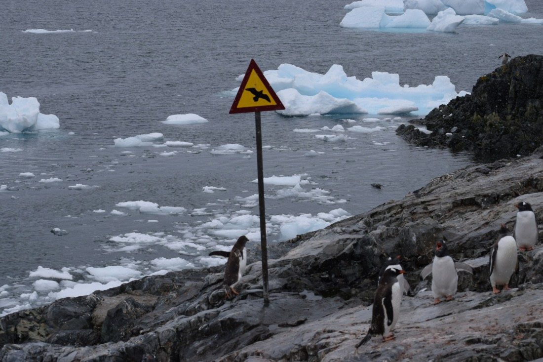 Who says we can't fly?