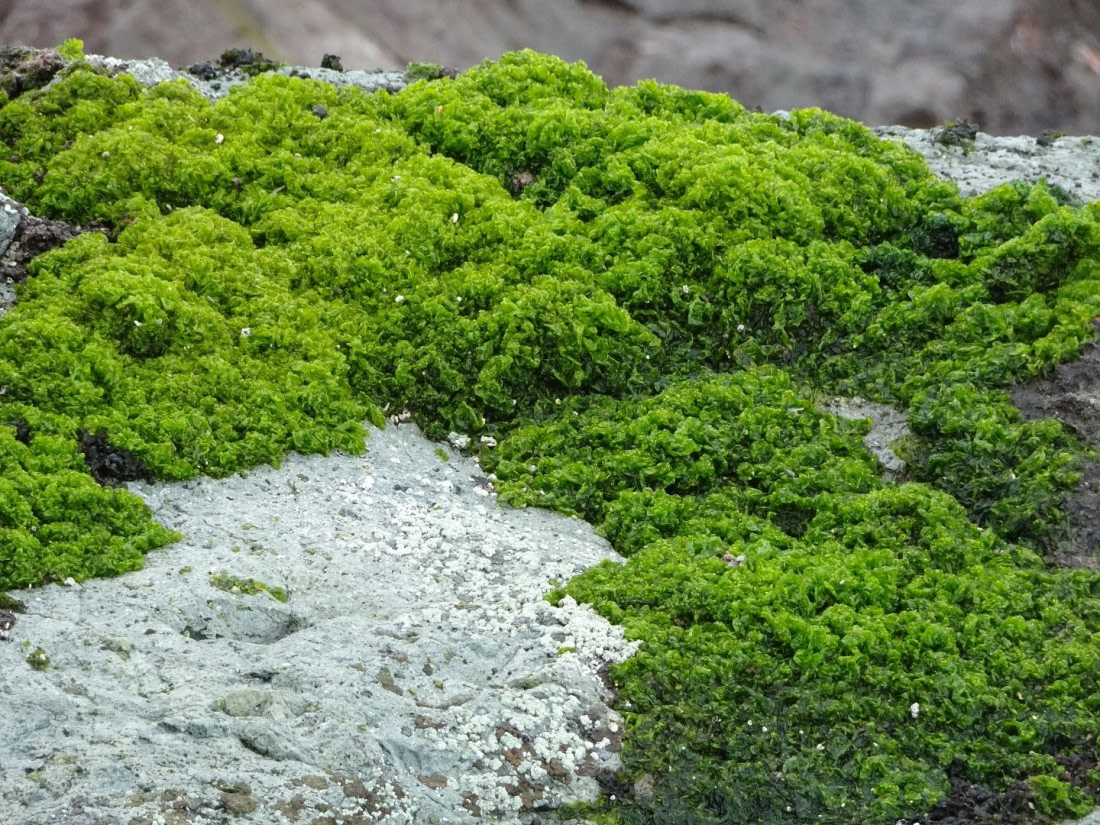 a GREEN landing spot in November!