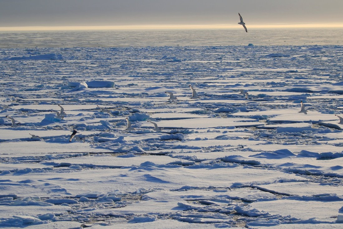 Moments of reflection