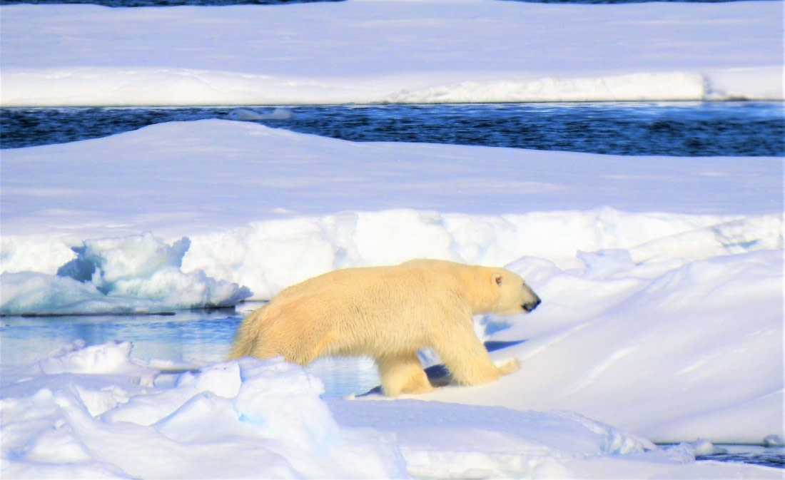 Walk in the beautiful place