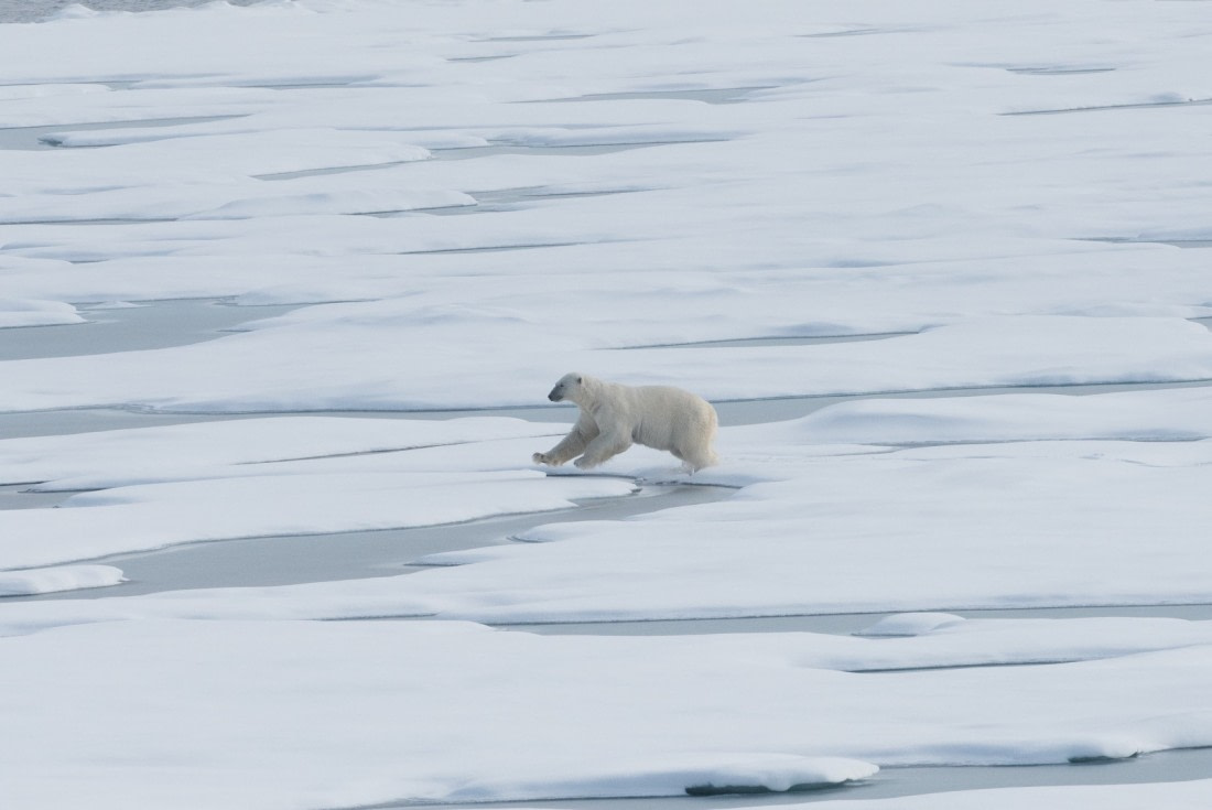 Jumping over the pack ice