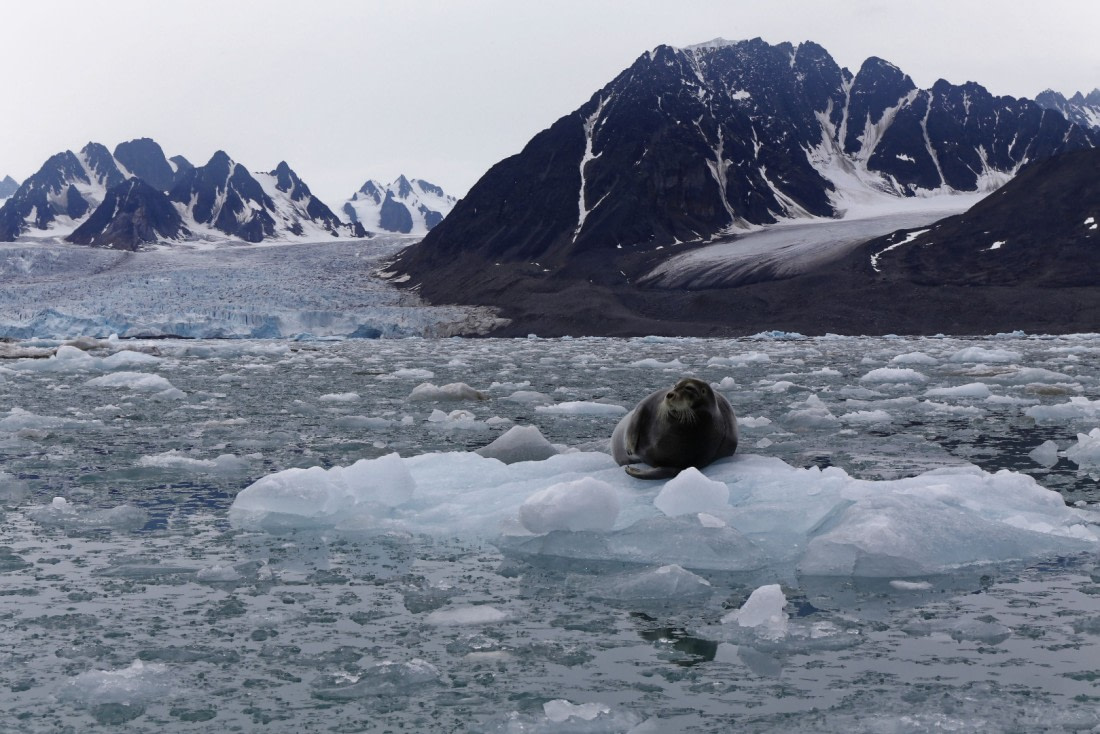Svalbard Summer 2019