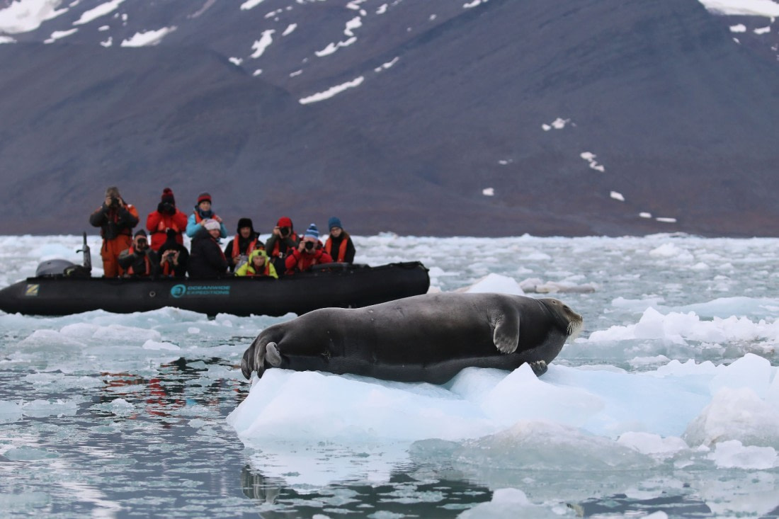 Svalbard Summer 2019