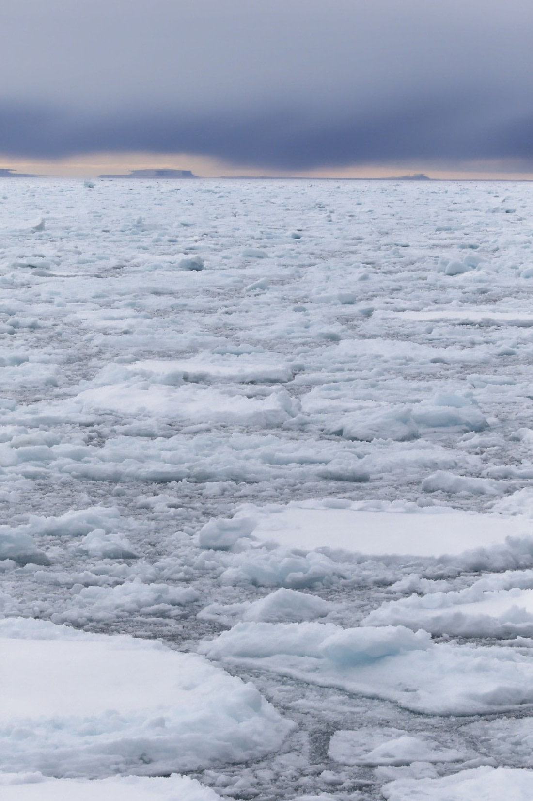 Svalbard Summer 2019