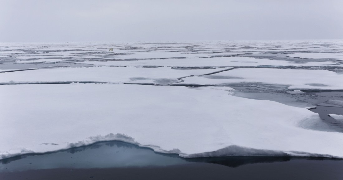 Svalbard Summer 2019