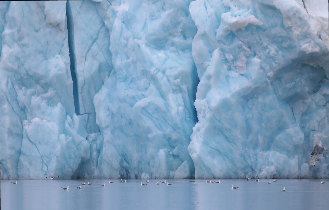 Svalbard Summer 2019