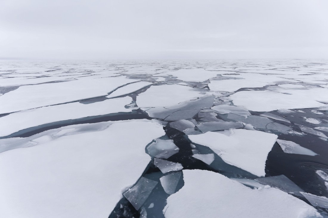 Svalbard Summer 2019