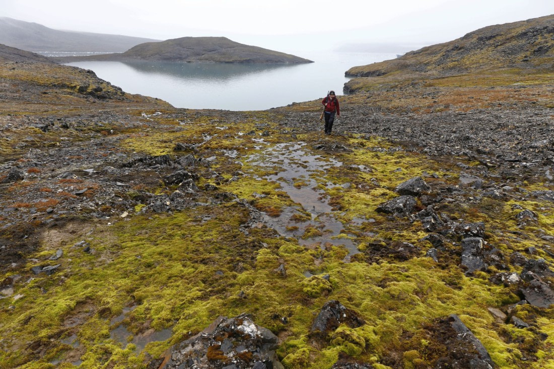 Svalbard Summer 2019