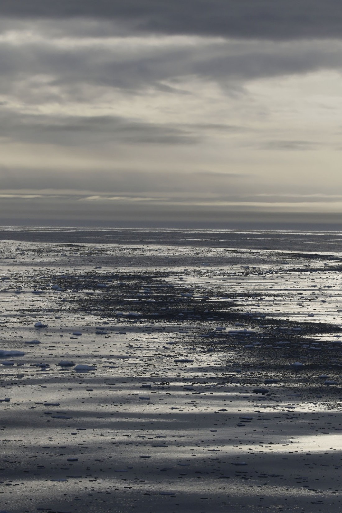 Svalbard Summer 2019