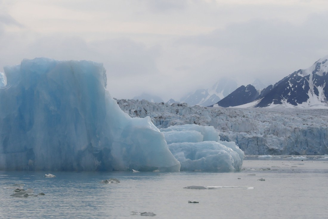 Svalbard Summer 2019