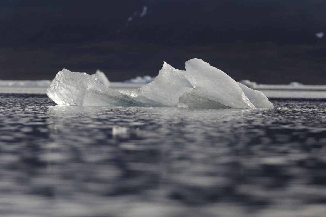 Svalbard Summer 2019