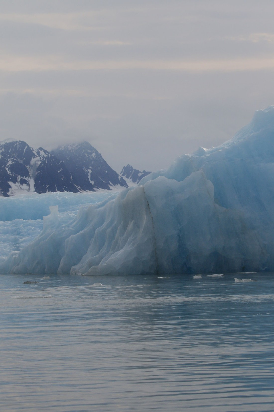 Svalbard Summer 2019