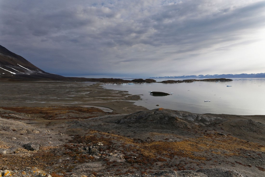 Svalbard Summer 2019