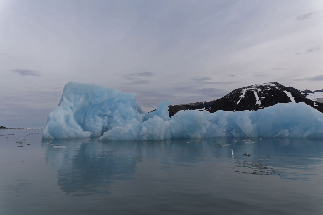 Svalbard Summer 2019