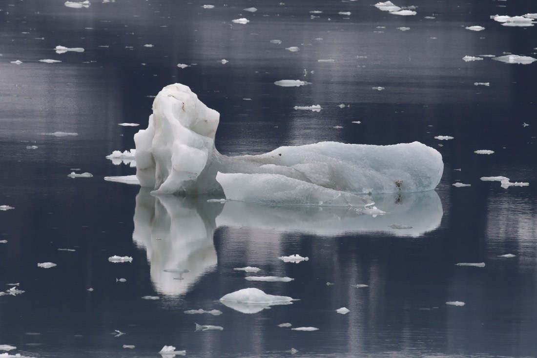 Svalbard Summer 2019