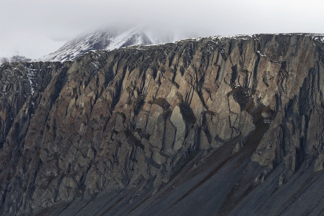 Svalbard Summer 2019