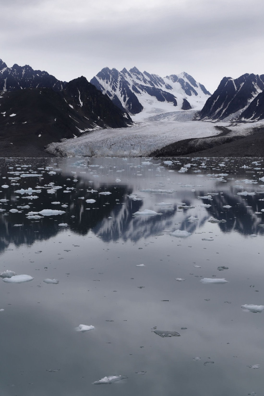 Svalbard Summer 2019